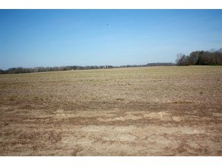 Property photo 12 - REAL ESTATE AUCTION - 486+/- ACRES OFFERED IN 9 TRACTS IN MORGAN & MARION COUNTIES, INDIANA